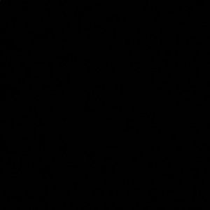 Meet your Posher, Callie